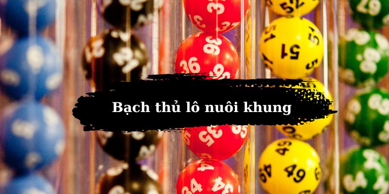 Bạch thủ lô nuôi khung theo kinh nghiệm từ cao thủ trong giới